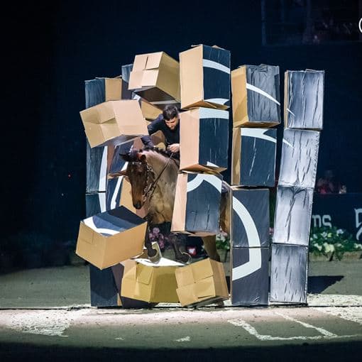 Cavaliada Show